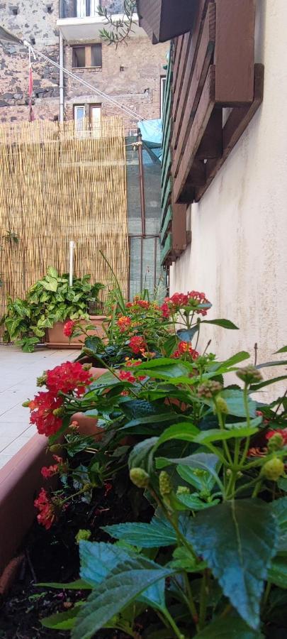 Downtown Vicino Al Duomo Apartman Catania-Fontanarossai nemzetközi repülőtér Kültér fotó